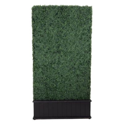 Image of Garden Double Sided Boxwood Hedge